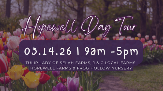 Hopewell Day Tour